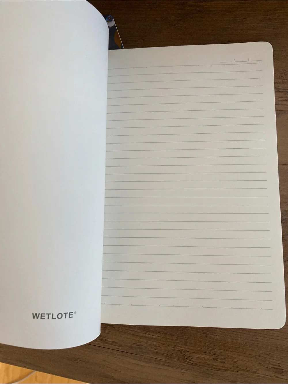 Floral Softcover Journal Set with fun Color Pens